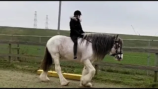                       دندنها