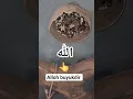 Download Lagu Allah is one.