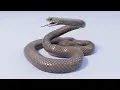Learning python with chatGPT made lessons lesson 11 introduction to OOP object oriented programing