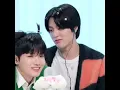 Download Lagu HARUKYU.. 🥹 Love you more than anyone else #treasure #haruto #junkyu #shorts