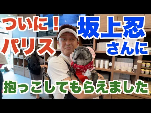 Download MP3 願いが叶った！ 坂上忍さんに抱っこしてもらったパリス 【 フレンチブルドッグ french_bulldog 】