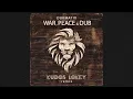 Download Lagu Dubmatix - War, Peace \u0026 Dub (Kudos LoKey Remix) - Official Visualizer