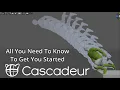 Cascadeur Crash Course 2025 The Beginner s Guide I Wish I Had