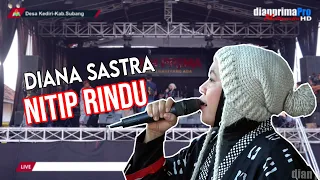 Download NITIP RINDU - DIANA SASTRA || LIVE KEDIRI BINONG SUBANG MP3