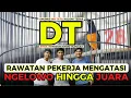 Download Lagu RAWATAN PEKERJA MENGATASI MURAI NGELOWO HINGGA JUARA | MURAI DT JUARA 3 RAMADHAN AWARD TAJIMALELA