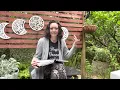 Moon Garden planning from the New Moon to the Full Moon
