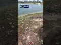 911 calls capture gunfire teen run over at Southwest Florida party
