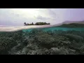 Laurent Voulzy / Belle-Ile-en-Mer - Marie Galante