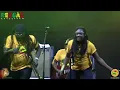 Jimmy Cliff Reggae Night Live at Reggae Rotterdam Festival