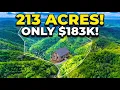 Why is 213 Acres in Kentucky ONLY 183 500