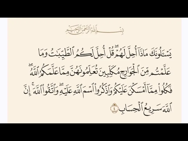⁣آيات الأحكام|شرح الآية:{وَمَا عَلَّمۡتُم مِّنَ ٱلۡجَوَارِحِ مُكَلِّبِينَ.. }-السيد صباح شبر