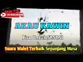 Download Lagu SUARA WALET AKAU KAWIN Yg Jadi Incaran Petani Walet - Terbukti Respon Semua Wilayah 👍