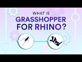 What is Rhino Grasshopper Quick Introduction For Beginners