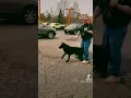 Rhino Kennels Dog Training Center