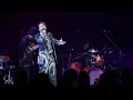 Download Lagu REIKO 'BUTTERFLY' Live from REIKO’s Winterland