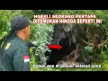 Download Lagu Terbukti orang bertapa bukan sekedar dongeng, video ini buktinya