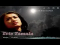 Download Lagu Kesunyian     -     Evie Tamala