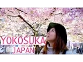 Lagu Day Trips From Tokyo: Yokosuka Under $30 | Japan Travel Guide