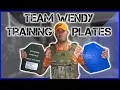 Review of the Team Wendy Training ESAPI Plates