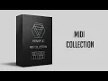 Download Lagu EDM - MIDI Collection Vol.1 (Free Download)