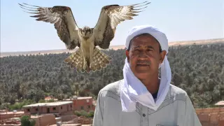 قصيدة هجاء للمرأة لعقاب الصحراء الشاعر العاقل بن عامر 