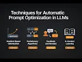 Techniques for Automatic Prompt Optimization in LLMs