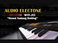 Download Lagu Bugis Electone Wenni Tudang Bottingmu