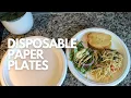 10 Inch Paper Plates 100 Compostable Plates