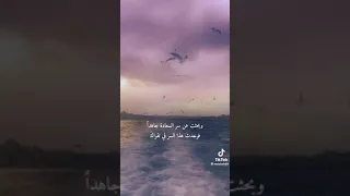 عبدالواحد المغربي    يا رب عدت إلى رحابك تائبا      أجمل وأعذب صوت شجي قد تسمعه دندنها