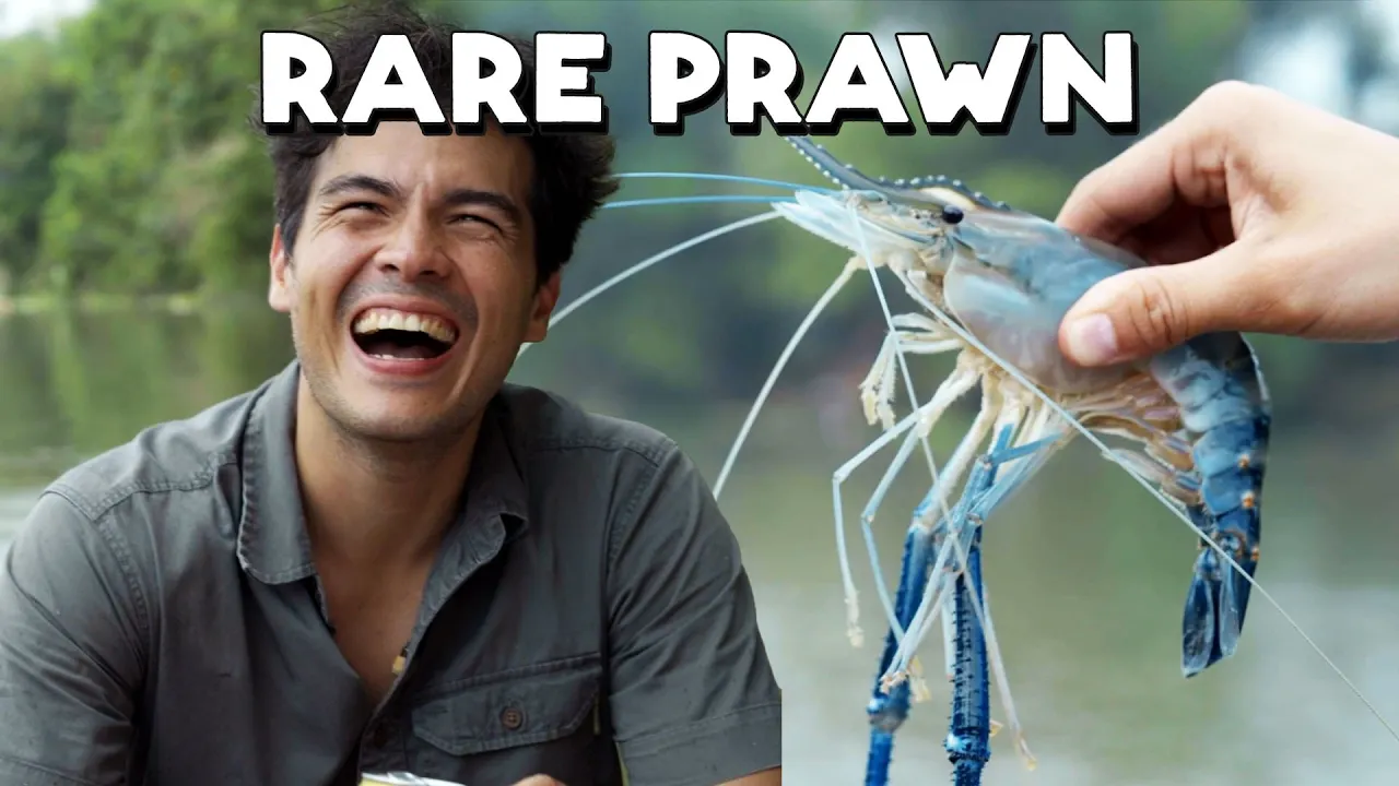 Rare Blue River Prawns in the Philippines   Catch and Cook with Erwan Heussaff