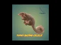 Download Lagu tupai bajing celele cliling #masteranmuraibatu #shorts #fyp