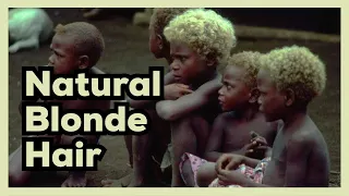 The only Black People in the World with Natural Blonde Hair