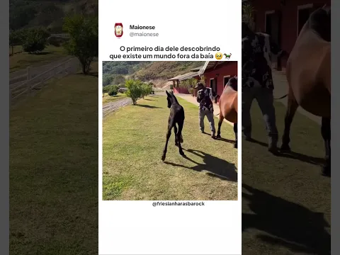 7 de setembro de 2026