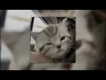 Mary jane - all night long (sped up)