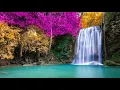 Download Lagu Liquid Drum and Bass Mix 332 - Seismic Noise
