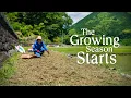 Download Lagu We Started a NEW Vegetable Garden (+ Day Trips with the Fam) in the Japanese Countryside