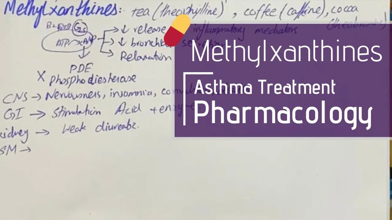 Methylxanthines | Asthma Treatment. PHARMACOLOGY