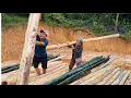 Download Lagu Simple love story: CEO and Ms. Lien go into the forest together to get wood to build their own home