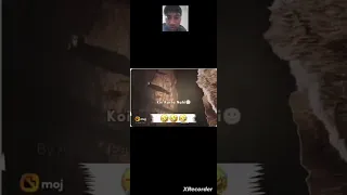                     دندنها