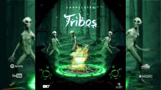 Download TRIBOS - Chapeleiro \u0026 Synthatic - Groove MP3