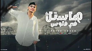 مهرجان هاستك في فلوس البت بتاعتي في قلبي غناء سيد امين توزيع موكا بوم 2025  مهرجان هاستك في فلوس البت بتاعتي في قلبي غناء سيد امين توزيع موكا بوم 2025