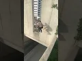 Download Lagu INSANE PARKOUR DEATH JUMP close call 😱
