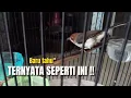 Download Lagu MENGEJUTKAN‼️YUHINA YANG SELAMA INI DIKENAL,TERNYATA SEPERTI INI‼️@KangarifPantau