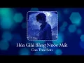 Download Lagu Hóa Giải Bằng Nước Mắt - Cao Thái Sơn | ( Lyric ) Thời gian chẳng đợi chờ mình