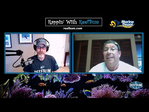 Download MP3 Rappin' With ReefBum: Guest - Alex Correa, Hobbyist