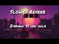 Zindagi Sy hai Gila by Sahir Ali bagga (slowed + reverb)