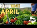 Texas Spring Gardening Find Your Last Frost Date Start Planting