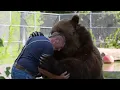 Download Lagu Animals Reunited With Their Owners After Years!