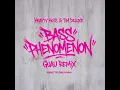 Bass Phenomenon (Guau Remix) - Krafty Kuts & Tim Deluxe