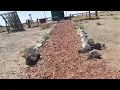 Antiguo paraje de La Pasto Verde (Neuquén)